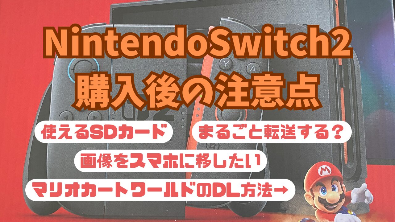 Nintendo-Switch2-Option