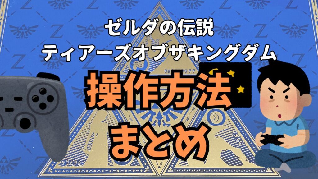 Zelda-TotK-Option