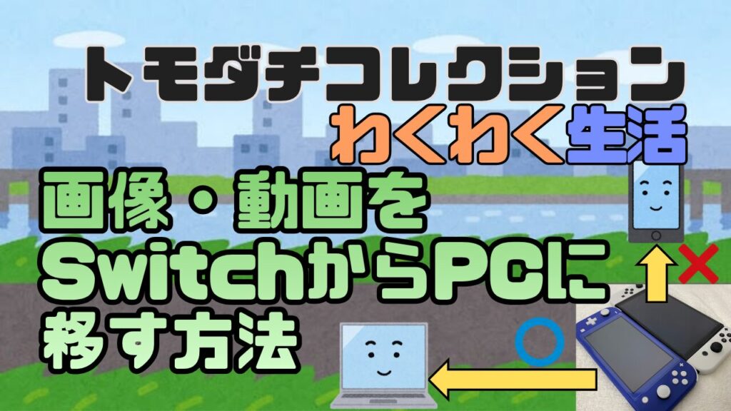 Tomocole3-SS-Torikomi