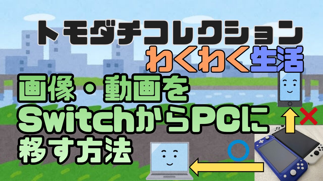 Tomocole3-SS-Torikomi