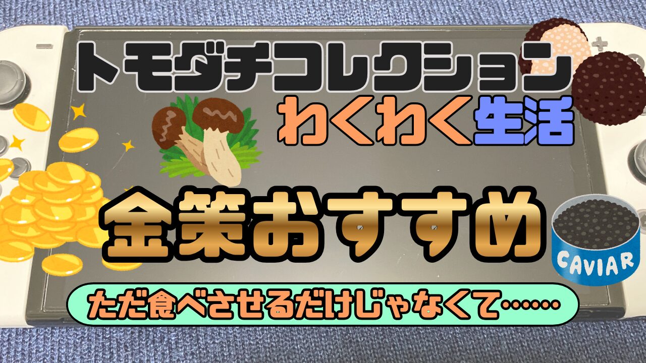 Tomocole3-Kinsaku