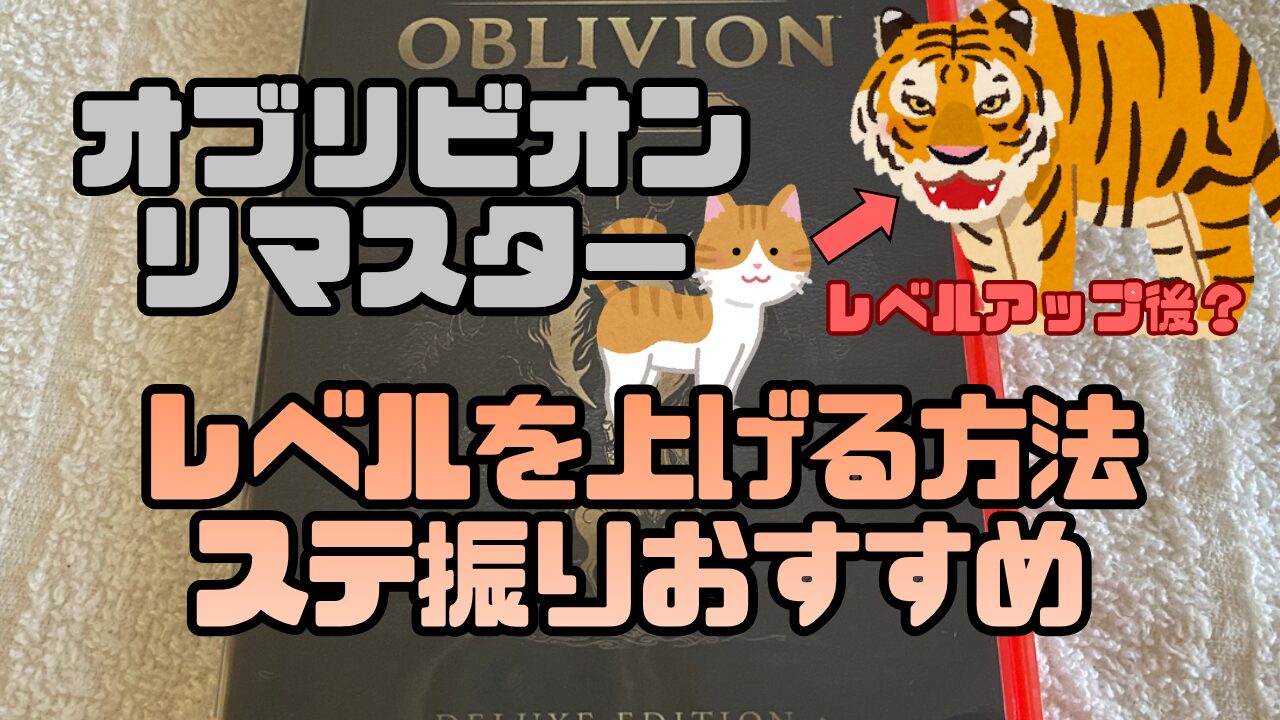 OblivionR-Levelup-Status