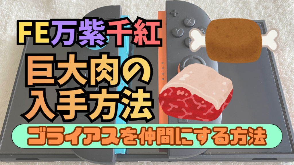 FE-BNSSNK-KyodaiNiku