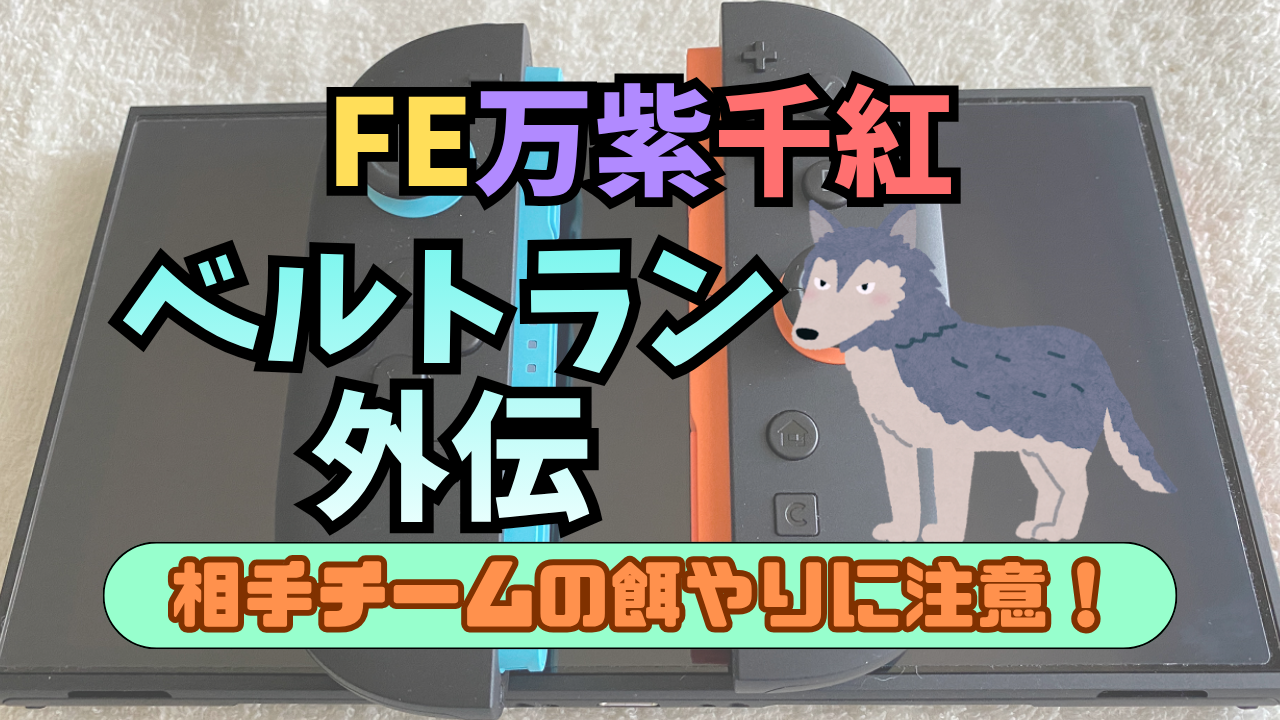 FE-BNSSNK-Bertrand-Gaiden