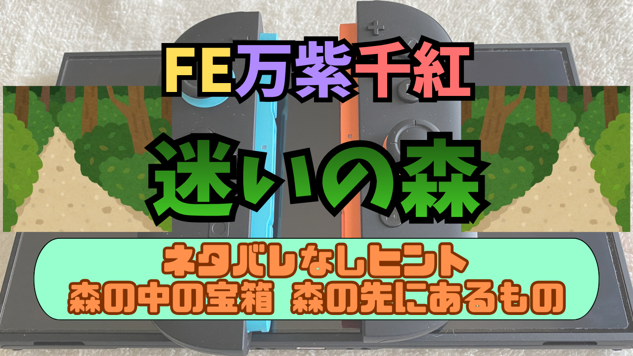 FE-BNSSNK-MayoinoMori